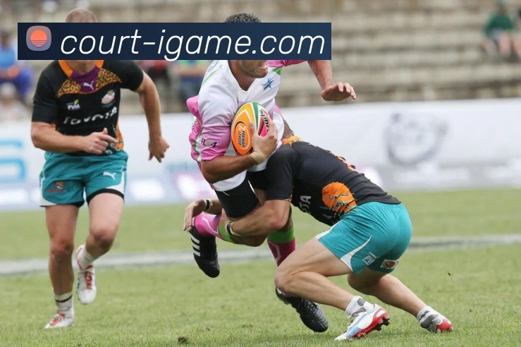 数据防护可视化